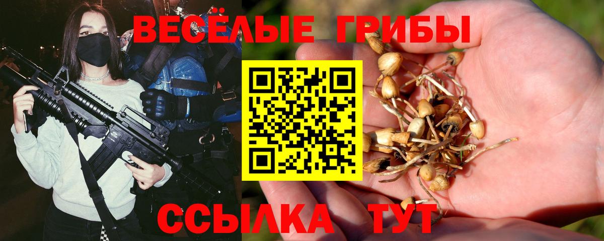 Псилоцибиновые грибы мухоморы Белгород
